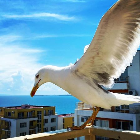 Sea View Panoramic Apartments, Fort Noks Crown Club سفيتي فلاس المظهر الخارجي الصورة
