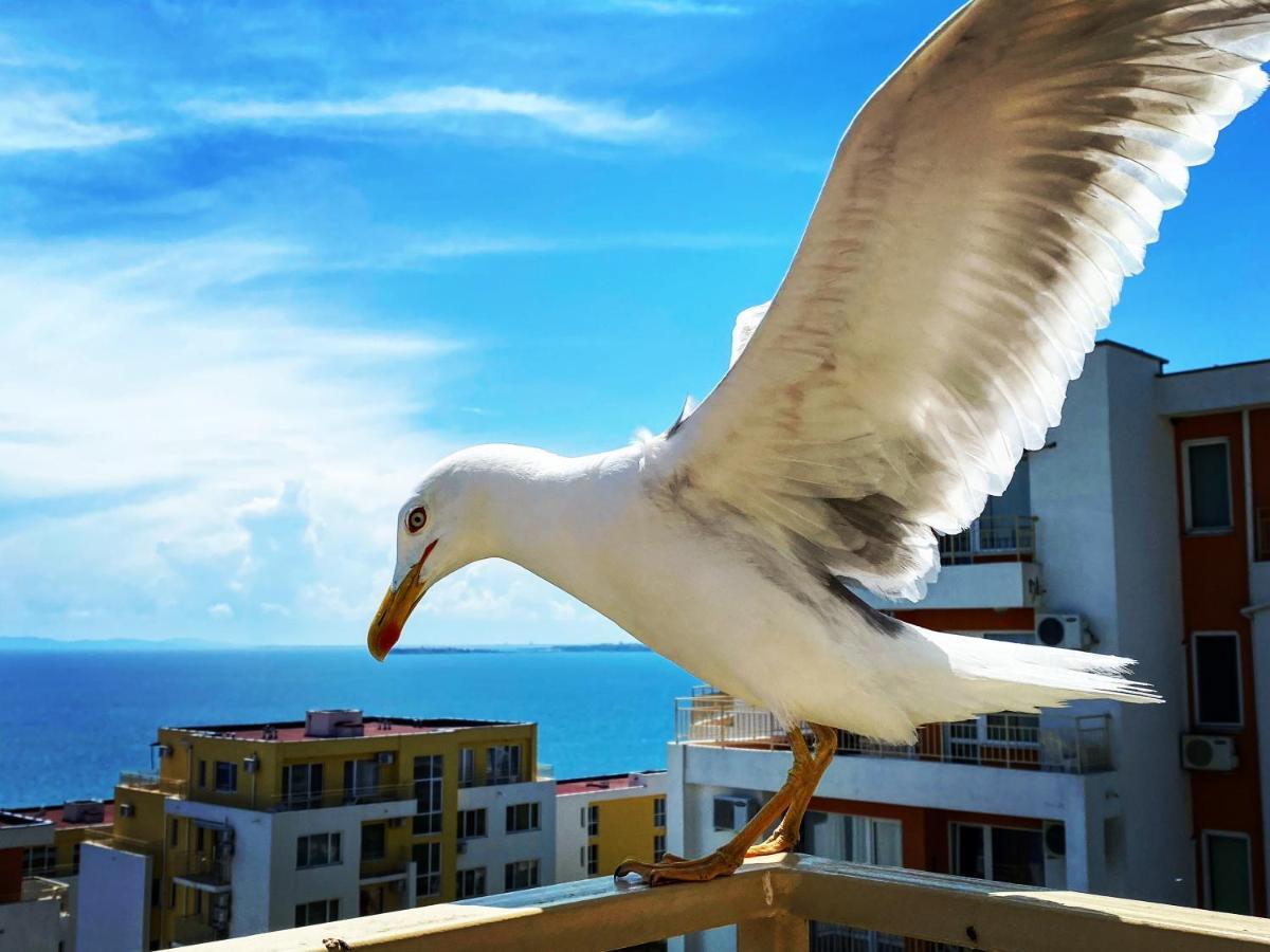 Sea View Panoramic Apartments, Fort Noks Crown Club سفيتي فلاس المظهر الخارجي الصورة