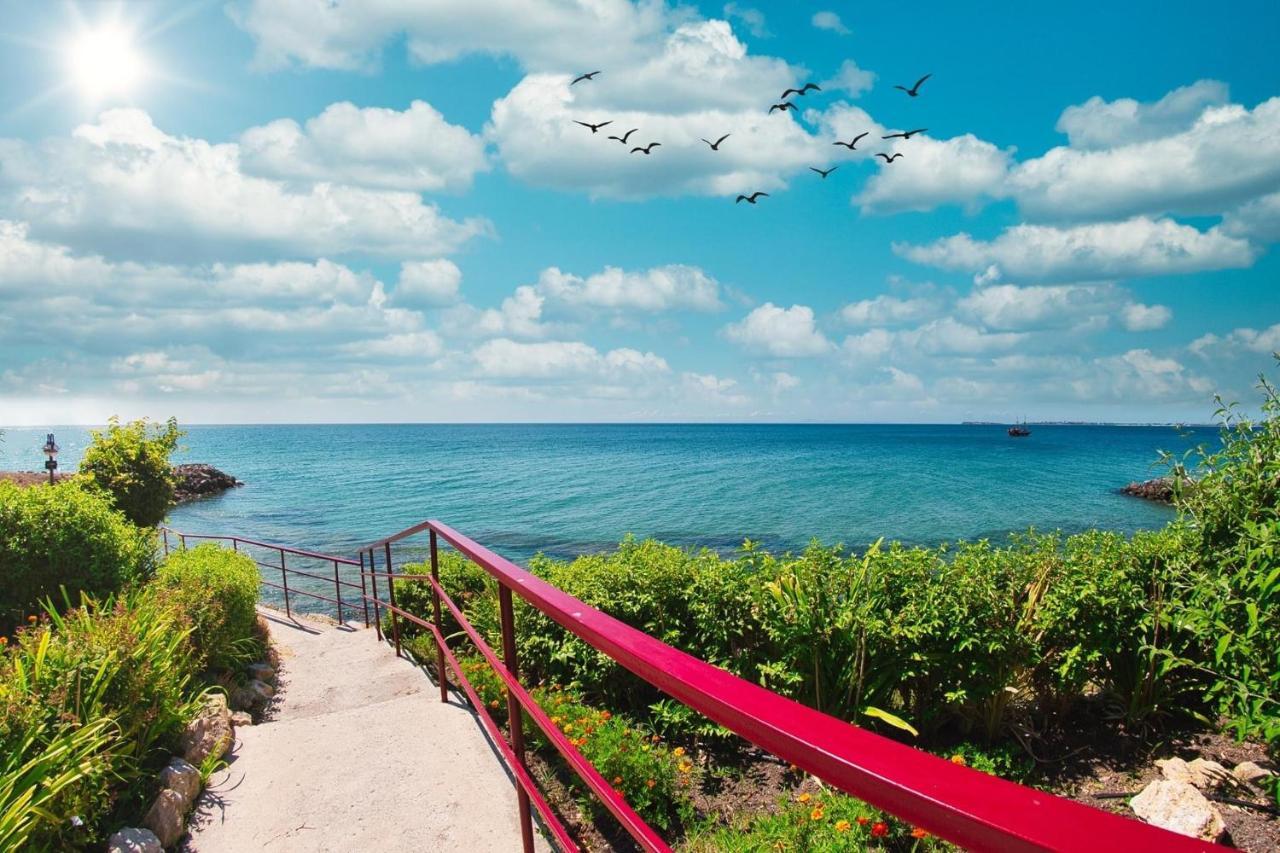 Sea View Panoramic Apartments, Fort Noks Crown Club سفيتي فلاس المظهر الخارجي الصورة